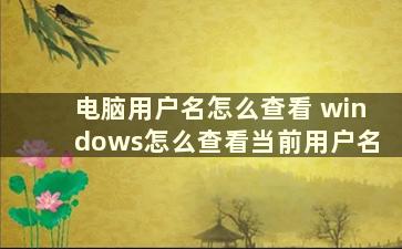 电脑用户名怎么查看 windows怎么查看当前用户名